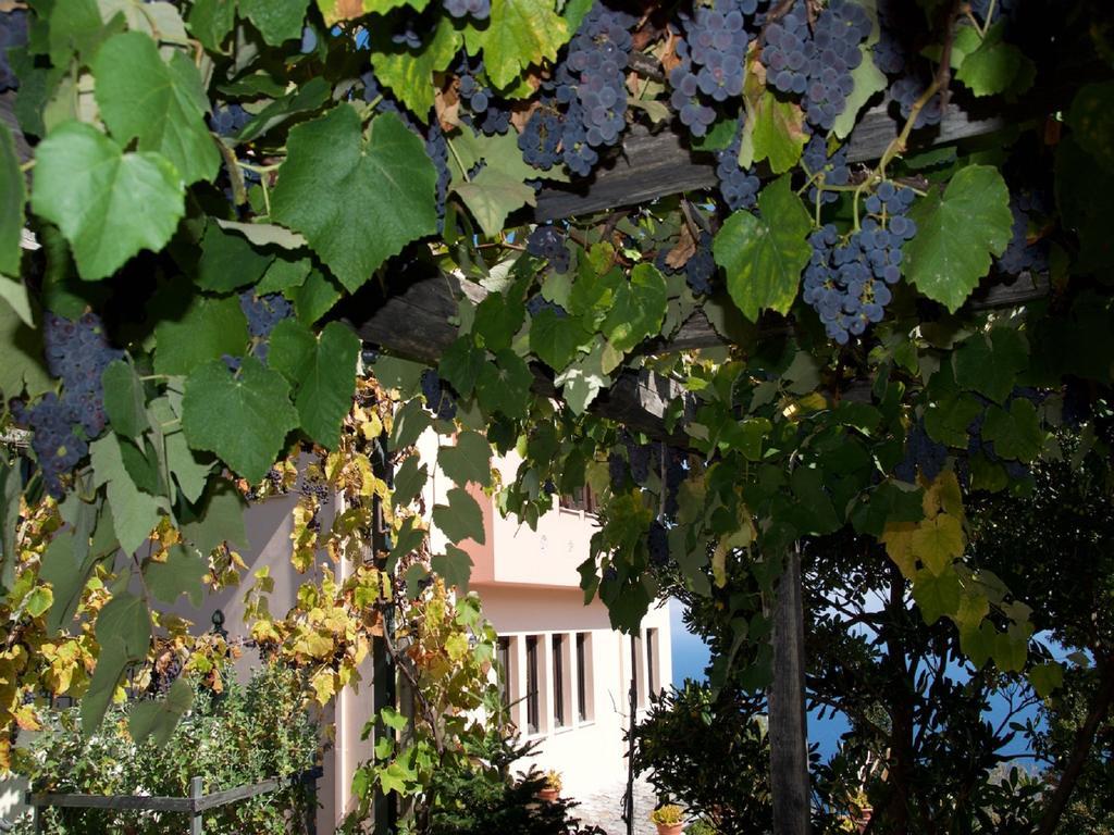 Villa Aglaini Áyios Dhimítrios Exterior foto