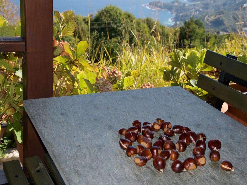Villa Aglaini Áyios Dhimítrios Exterior foto